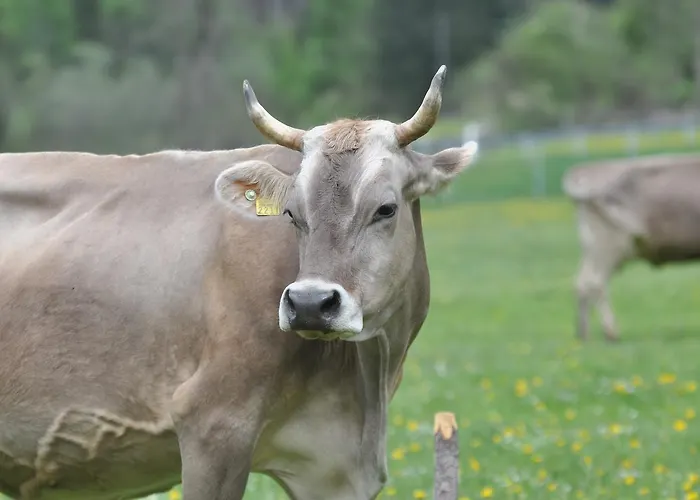 Post فندق أندير